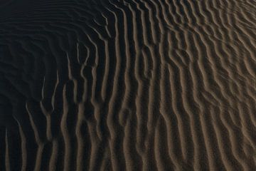 Paracas sur Luc Buthker