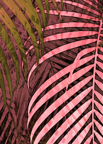 TROPICAL POPPY-PINK LEAVES-2