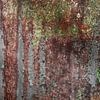Beton oude muur Fotobehang 7 van Olivier Photography
