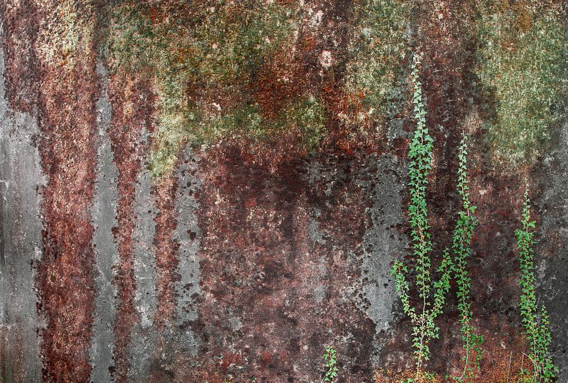 Concrete old wall Photo wallpaper 7 by Olivier Photography