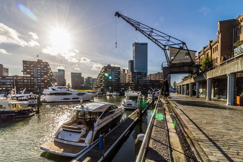 Monaco aan de Maas, City Marina Rotterdam van Peter Hooijmeijer