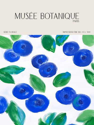 Musée Botanique No 12