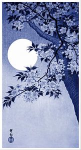 Blühende Kirschblüten im Mondlicht in Nachtblau  (Ohara Koson)