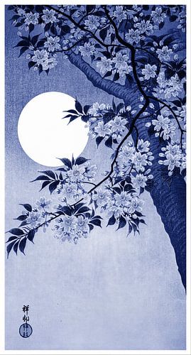 Blühende Kirschblüten im Mondlicht in Nachtblau  (Ohara Koson)