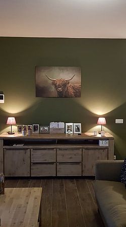 Scottish Highland Cow