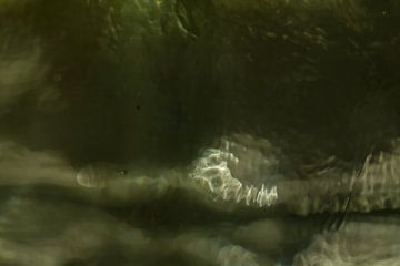 Surface shadows van QEIMOY