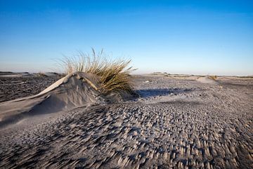 Duin in wording op Terschelling van Arjan Boer