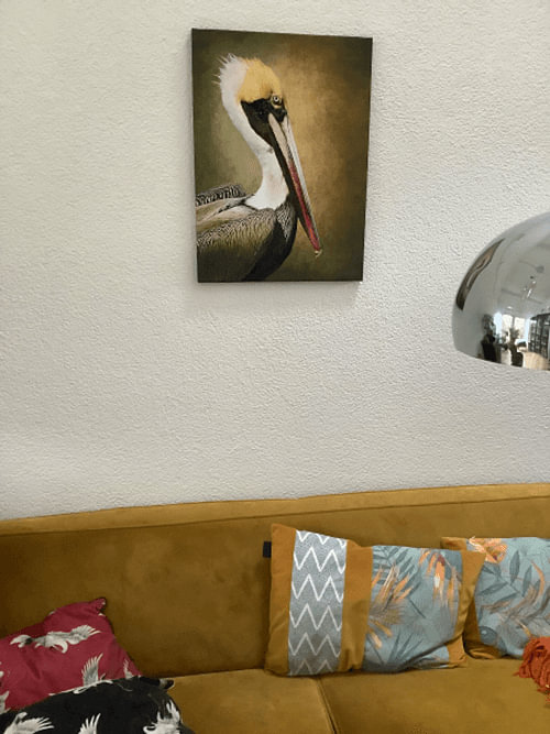 Pelikan Porträt