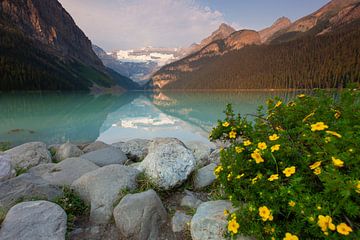 Meer van Louise van Sven-Erik Arndt