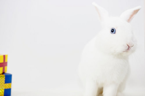 #White Model pose