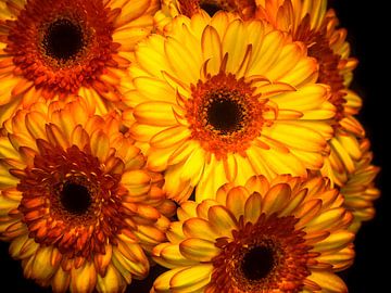 mehrere Sonnenblumen von Martijn Tilroe