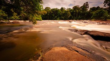 River near the island of Awarradam in Suriname by René Holtslag