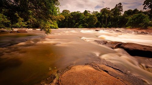 River near the island of Awarradam in Suriname