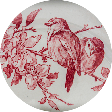 Oud frans bordje  vogels