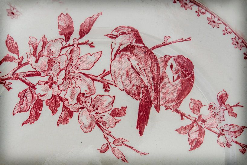 Old french plate birds by Blond Beeld