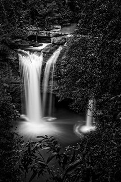 Rainforest waterfall by Richard Guijt Photography