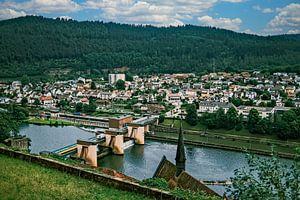 Het moderne Hirschhorn aan de Neckar