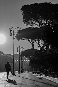 Silhouet Fotografie Man en Vogel Colosseum Rome Italië van Martijn Jebbink Fotografie
