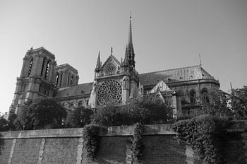 La cathédrale Notre-Dame de Paris - BW1