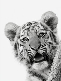 Tigerjunges mit offenem Maul – Tierkunst in Schwarzweiß