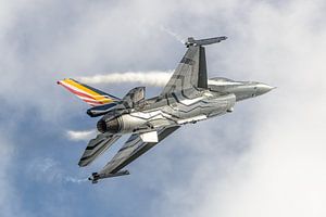 Équipe belge de démonstration de F-16 : "Gizmo" et son Blizzard.