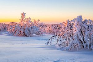 Verschneite Landschaft zum Sonnenuntergang