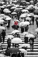 Jour de pluie à Tokyo - La dame en rouge du croisement de Shibuya
