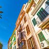 Palma de Mallorca, mediterrane Häuser mit Palmen von Alex Winter