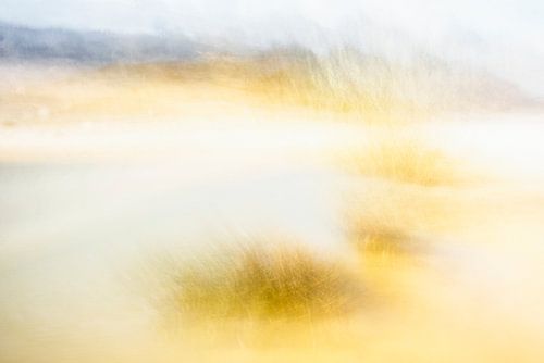 Une petite piscine, idéale pour le travail abstrait - 1