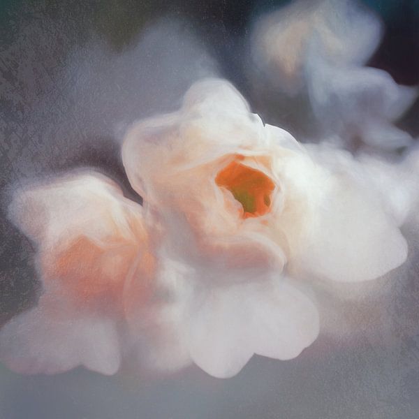 Blossom van Andreas Wemmje