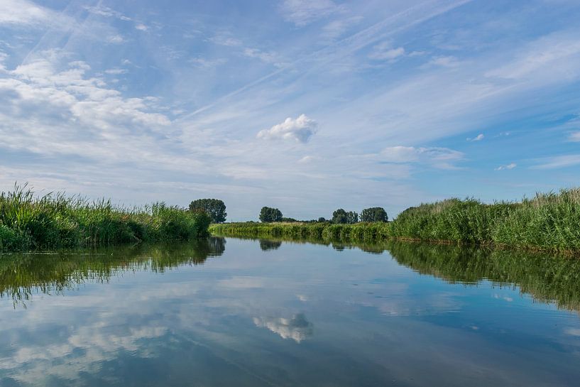 Weerspiegeling in de Wetering van Patrick Verhoef