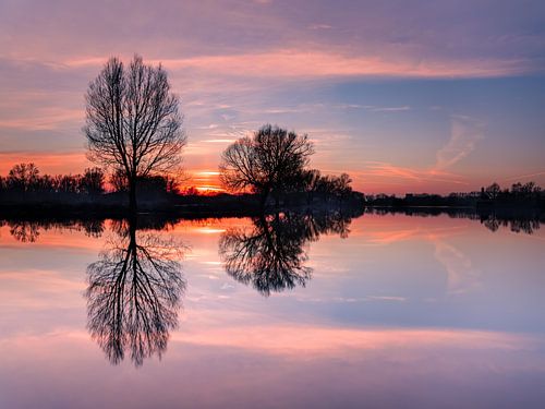 Zonsopkomst Meinerswijk