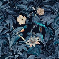 Midnight Jungle Birds