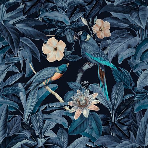 Midnight Jungle Birds von Andrea Haase