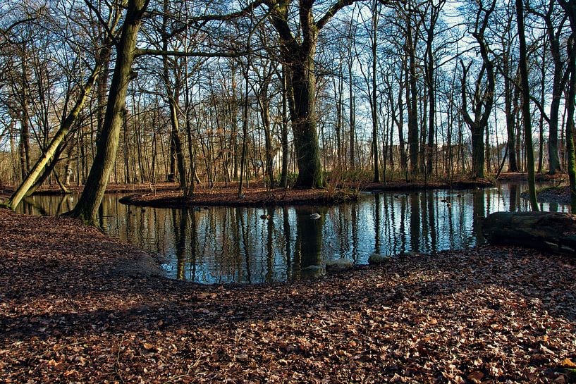 Het meer in het bos. van Elbkind89
