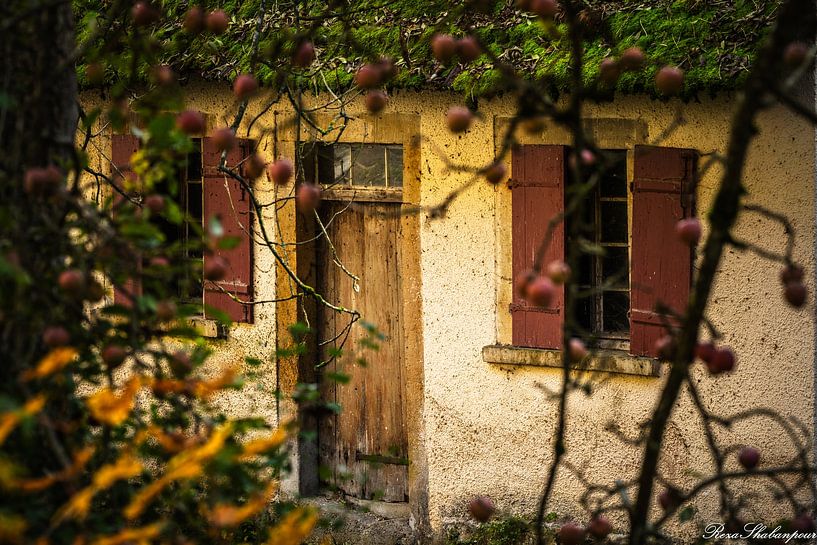 My dream House by Reza Shabanpour