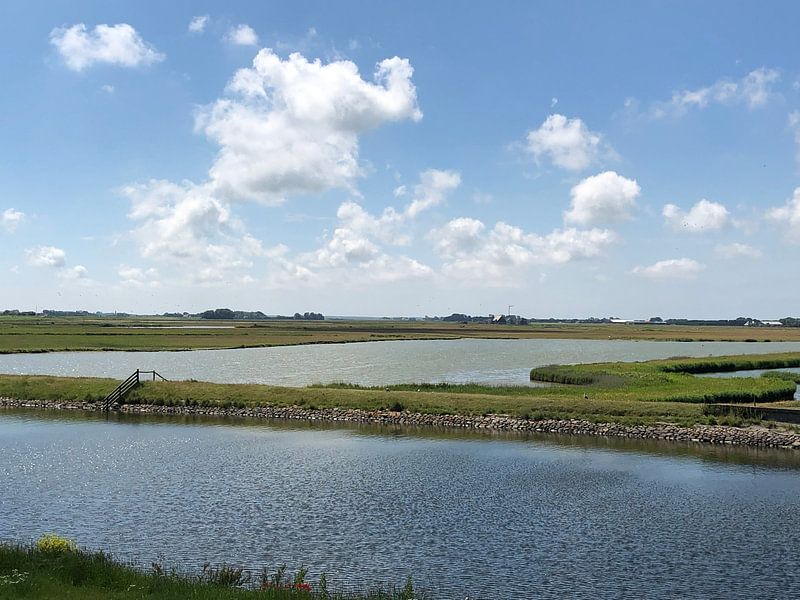 Landscape 2 by tania mol