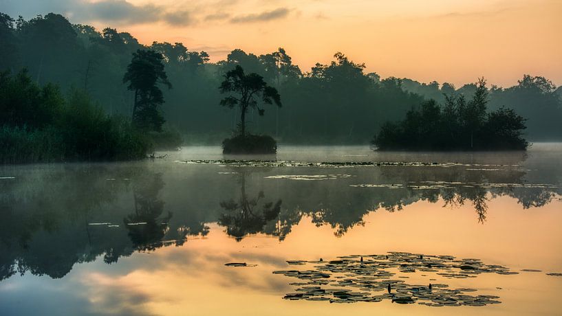 Grand Golfe d'Oisterwijk par PvdH Fotografie