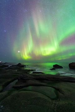 Northern Lights Dance Above Lofoten’s Coast by Olga Ilina