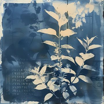 blauw cyanotype silhouet plant