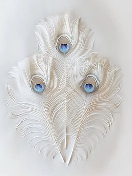 Witte pauwenveren van haroulita