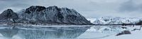 winter panorama