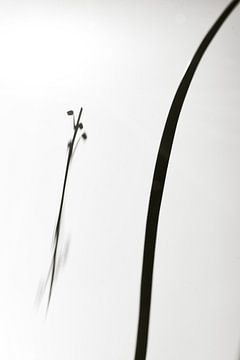 Busbahnhof Leidsche Rijn, Utrecht. von André Bouterse