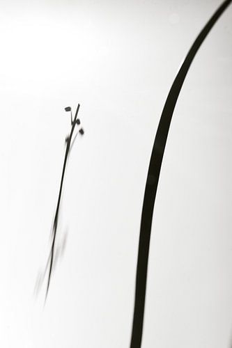 Gare routière Leidsche Rijn, Utrecht.