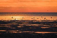Sonnenuntergang am Wattenmeer von Joke Beers-Blom Miniaturansicht