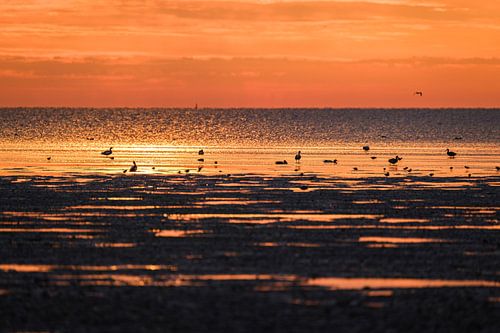 Zonsondergang aan de Waddenzee
