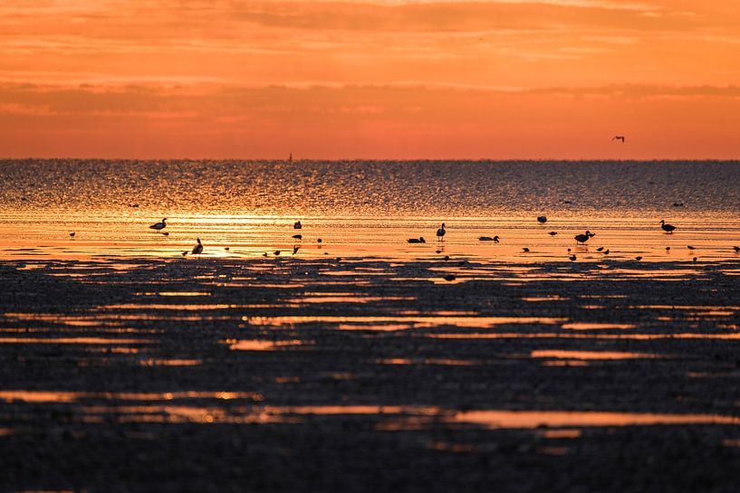 Sonnenuntergang am Wattenmeer von Joke Beers-Blom