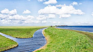 Hollands landschap van Hester Busse