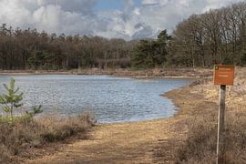 bosvijver de Zwarte