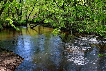 Lüneburger Heide - Lente aan de romantische Örtze van Gisela Scheffbuch